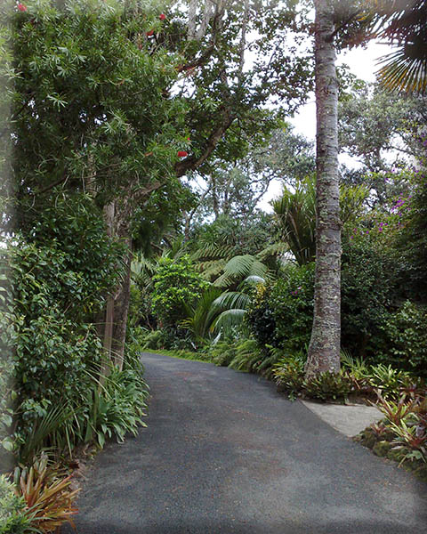 Arapito drive